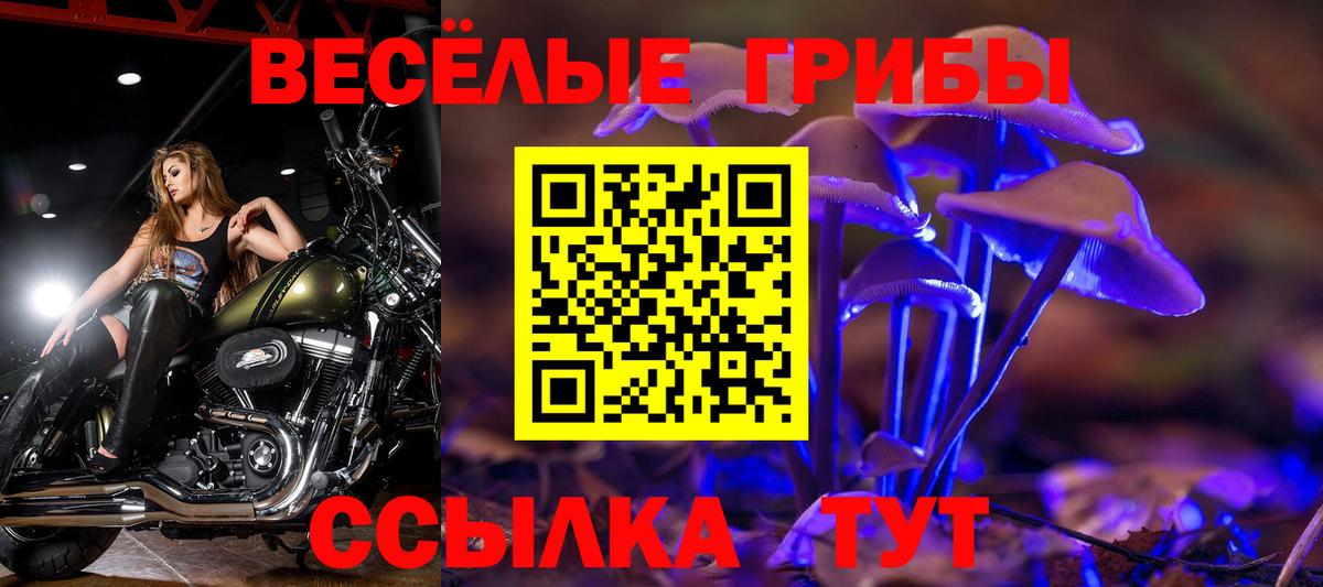 Курган  хочу наркоту  Вход с VPN  Псилоцибиновые грибы Magic Shrooms 